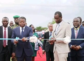 Tchitchaou : au cœur de Kara, le Togo lance sa révolution agricole avec BKG Distribution en acteur clé