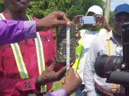 Gabon : Sur l’axe Ntoum–Cocobeach, la mission de contrôle impose la preuve de la qualité